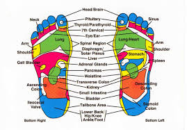 Complementary Therapy Reflexology Healing Touch Charlotte