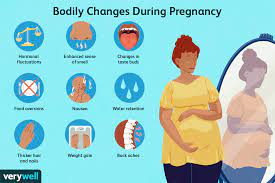 body changes to expect during pregnancy