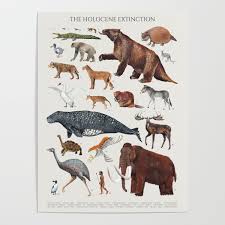 Animal Chart Of The Holocene Extinction Poster By Malachi13