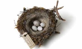 See more ideas about spring preschool, bird theme, preschool activities. Helen Macdonald The Forbidden Wonder Of Birds Nests And Eggs Science And Nature Books The Guardian