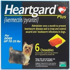 Heartgard Plus Chewables For Dogs 1 25 Lbs 6 Month Supply Blue