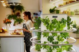hydroponic garden tower grows year