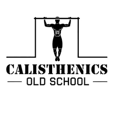 high volume calisthenics program