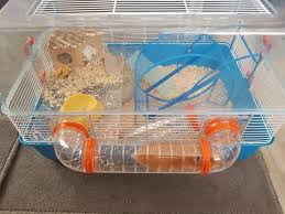 dwarf or syrian hamster cages