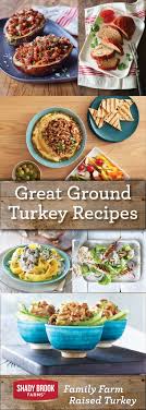 Preheat the oven to 400 degrees. Ground Turkey Recipes Shady Brook Farms Turkey Ground Turkey Recipes Delicious Healthy Recipes Healthy Recipes