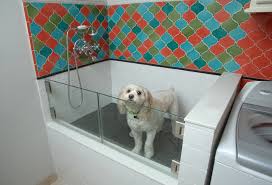 How To Install A Dog Washing Station