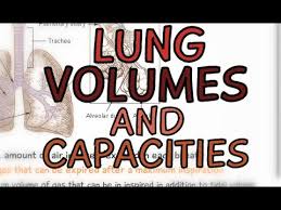 the respiratory system lung volume and