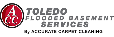 about accurate carpet cleaning toledo