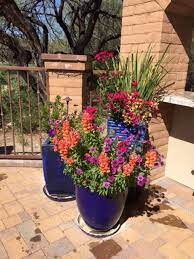 Residential Potted Gardens The