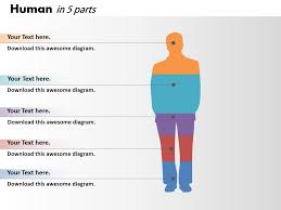 0414 Column Chart Human Body Illustration Powerpoint Graph