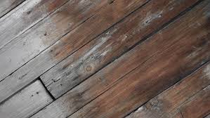 signs of mold under hardwood floors
