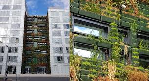 Vertical Gardens As A Restorative Tool