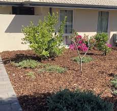 What S The Best Mulch For Gardens