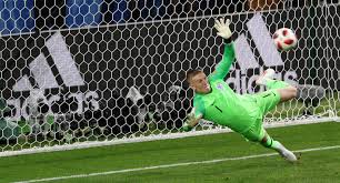Ps can i just say i love your writing. From Russia With Gloves Jordan Pickford Writes His Name Into Footballing Folklore The Northern Echo