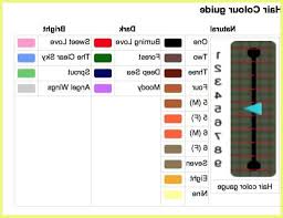 Extremely casual > loose and wavy! Acnl Hair Color Guide 138629 Animal Crossing New Leaf Hair Colour Guide Tutorials