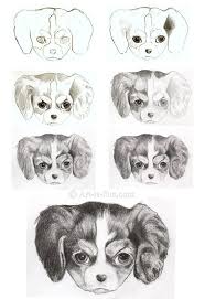 how to draw a puppy learn how to draw