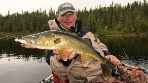 Best Color Fishing Line For Walleye