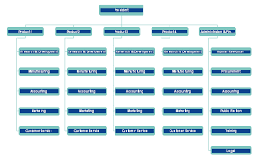 Product Line Divisional Org Chart Free Product Line