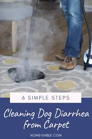 how to remove dog stains from