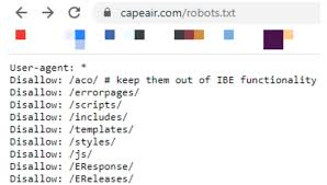 robots txt optimization on airline