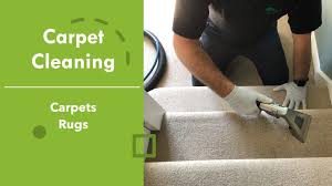 carpet cleaning croxley green rug