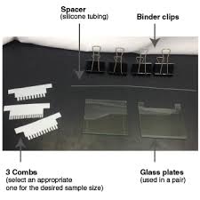 the principle and method of