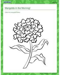 Downloadable coloring pages, how to videos, drawings for kids, printable coloring pages, beginners to advanced levels o. 89 Marigold Ideas Marigold Marigold Tattoo Marigold Flower
