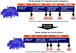 hyperinsulinaemic hypoglycaemia in non