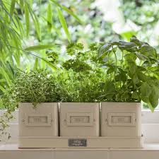 Burgon Ball Herb Pots In A Tray