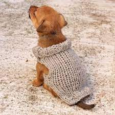 Puppy Sweater Knitting Pattern Xs