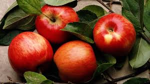 apple fruit wallpaper 1920x1080 65443