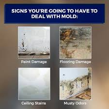 how to spot prevent mold