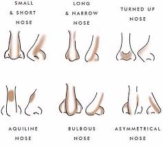 Nose Contouring For Various Noses So Happy I Found This