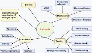 letrozole pharmacology toxicity and