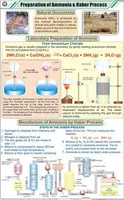 Prep Of Ammonia Haber Process Chart Manufacturer