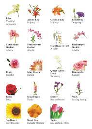 Your favorite blooms — from roses and peonies to lilies and daisies — send specific messages that you need to you probably choose bouquets based on the types of flowers your recipient likes best, or whichever ones look or smell prettiest. Different Types Of Flowers Different Types Of Flowers Flower Meanings Types Of Flowers