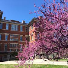 wylie hall indiana university 3