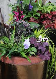 Winter Container Favorites To Mix