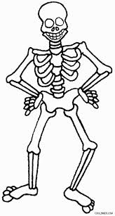 38+ halloween skeleton coloring pages for printing and coloring. Printable Skeleton Coloring Pages For Kids