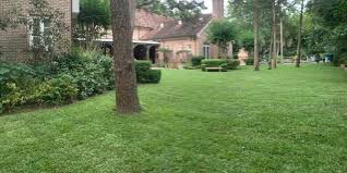 If you lay sod in the heat of summer, moisten the surface of the planting area before putting down the turf. What S The Average Cost To Install Grass Sod Houston Grass Pearland