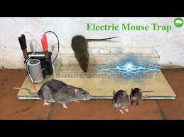 You have not landed on the wrong page or article! Survival In Nature Tv Fc Electric Mouse Trap Rat Trap Work Easy Saving Mice Automatic Mouse Top Mouse Trap Facebook