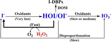 hydrogen peroxide and aqueous iodine