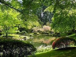 nitobe japanese garden university of