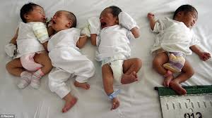 Image result for maternity babies