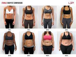 female body fat percene comparison