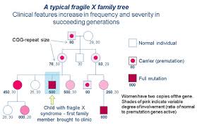 Fragile X Syndrome This Pedigree Chart Outlines The