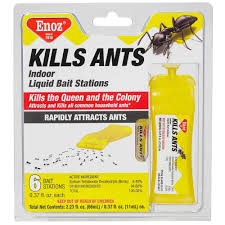 enoz kills ants liquid ant bait