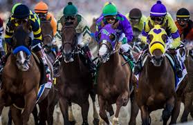 The Belmont Stakes Win Zone Whos In It Super Screener