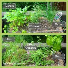 Own Herb Garden