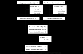 Flow Chart Of The Patient Inclusion Process Bdg 1 3 D
